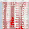 新型コロナウイルス、国別・人口あたり新規感染者数（11月24日現在） /  COVID-19 cases per population by country, as of November 24