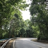 【ランカウイ島】感動するほど酸素濃度の濃い奇跡の山道でハイパーリフレッシュ！【マレーシア後編】