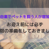 新型コロナの影響でペットを迎える人が増加中？新しい家族を迎える前に必ずしてほしいこと