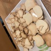 バレンタイン2025