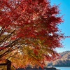 三河湖☆本日の紅葉情報🍁