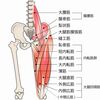 太ももの前が痛い