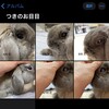 お目目の写真と診療費