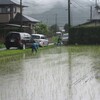 男塾田植