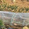 👨‍🌾春を先取り、種撒き開始