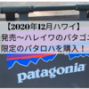 【2020年12月ハワイ】日本未発売〜ハレイワのパタゴニアで限定のパタロハを購入！