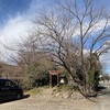 鹿島古墳群(35号墳)   深谷市本田