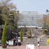広島市植物公園 大温室