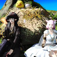 Ff14 Dd産マウント回収の旅へ ギル持参 へんじがない ただの引きこもりのようだ Ff14 Dd産マウント回収の旅へ ギル持参 へんじがない ただの引きこもりのようだ