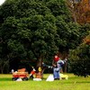 我が家のお楽しみは､このようにして呆気なく終焉した｡ 【川上村 源流の森】