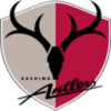 Salaries of J.League Kashima Antlers Players in 2019