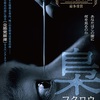 【解説】韓国映画『梟―フクロウ―』(The Night Owl)あらすじと感想/ユ・ヘジン×リュ・ジュンヨル！光と闇が織りなすスリリングな王朝サスペンス