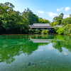 楽寿園　小浜池の満水