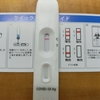 一応心配なので抗原検査実施