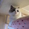 たくさん遊んだ３連休最終日