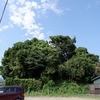再び延岡へ