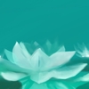 法華経Eメール講座をはじめます