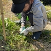 本日の作業（11月5日）