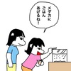 No.1697 毎日メダカに餌をあげている娘達よりもメダカ愛が深い妻