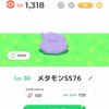 弱小ポケスリプレパス勢のメタモン厳選