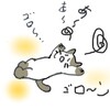 暑いよ～ゴロゴロ！