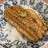 釣ったあなごを捌いて食す【煮あなごと白焼き】