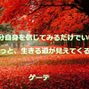 風そよぐ朝、今週も顔晴で月曜日... （＾Ｏ＾☆♪