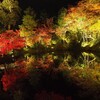 高台寺紅葉ライトアップ