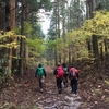 2017.11.5高野山紅葉登山