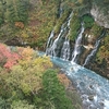 北海道旅行3日目 ～美瑛・富良野編～