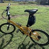 久しぶりの自転車