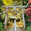大蛇が鳥居でお出迎え「奥澤神社」に行ってみた！