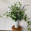 おうちヨガの予定