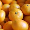 焼いても美味しいです　🍊