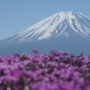 さよならさまよえる日々よ