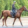 この中間から乗り運動を開始。早速、坂路へ連れ出しています。☆サリオス