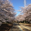 駒沢公園