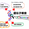 遺伝子検査