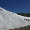 八幡平アスピーテライン 雪の回廊をドライブ