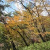 青梅丘陵ハイキングコース2_金毘羅神社～第一休憩所（東京都青梅市）