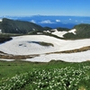 ◆'20/06/21   鳥海山・鉾立より③…御浜～千蛇谷入り口