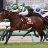 【大阪杯2024】皐月賞馬、ダービー馬弱すぎ