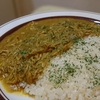 手作り欧風チキンカレーの作り方！