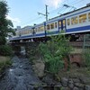 三島散策（７）：中央水道跡，三島広小路の黄昏。