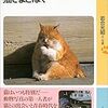 猫さまとぼく