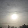 今日は～霧