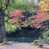 尾山神社から金沢城公園へ、お昼は近江町市場で映えの「海鮮チラシ」を！