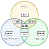 抗うつ薬について〜総論〜(参考元:元住吉こころみクリニック)