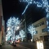 12月6日　クリスマスの季節なんだね