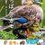 私は🦆かもしれない